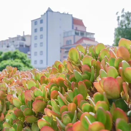 Apartamento Cacao Estoril